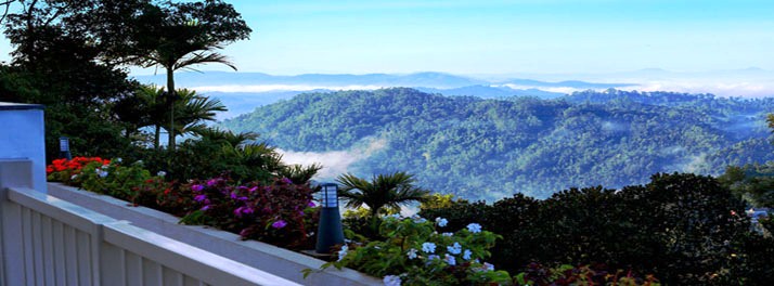 1048/Chandys Windy Woods - Munnar 17.jpg